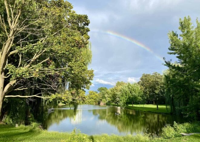 My Big Updates from a Year of Change