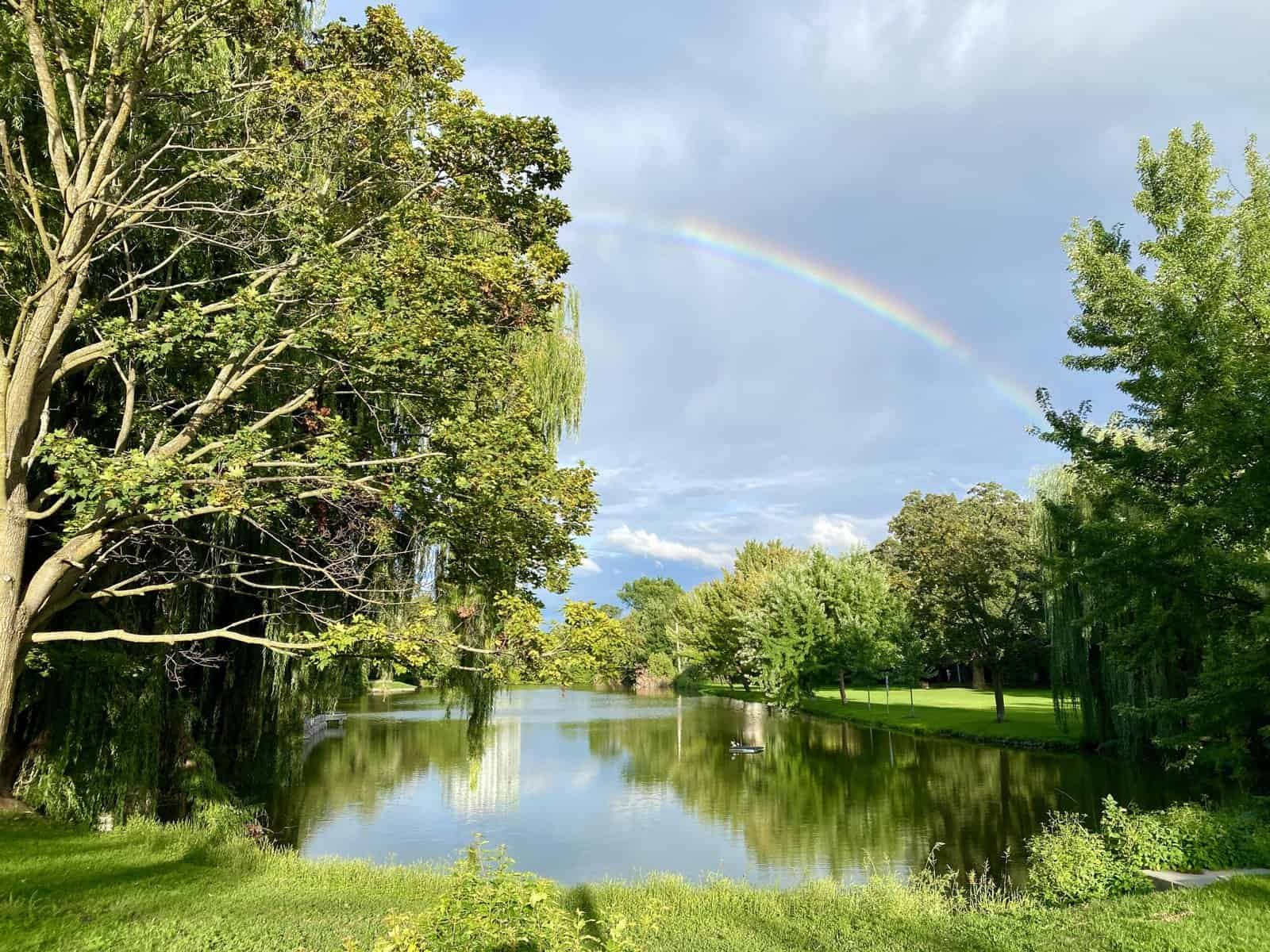 My Big Updates from a Year of Change