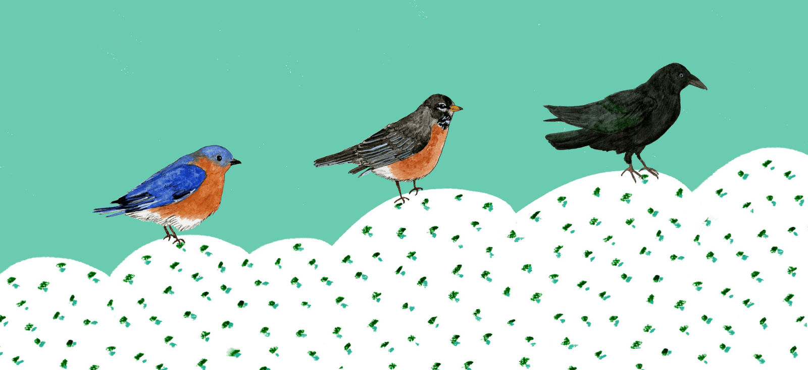 A Patreon, a New Newsletter, and a Site Redesign