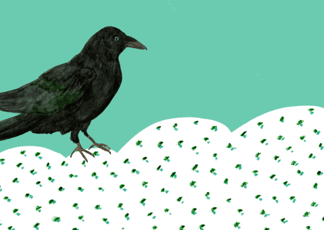 A long overdue update: Patreon, newsletter, and more