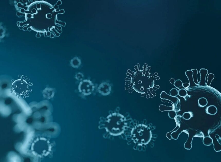 I’m In The Vulnerable Class for COVID-19. A Plea To Take This Virus Seriously.