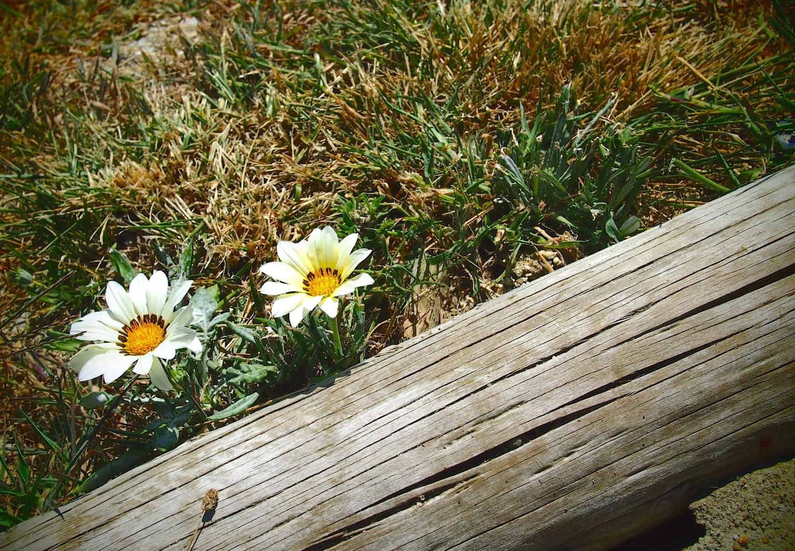 3 Years Later, A Surprising Reunion with Something Important