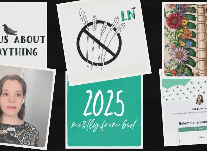 What I did in 2025, mostly from bed