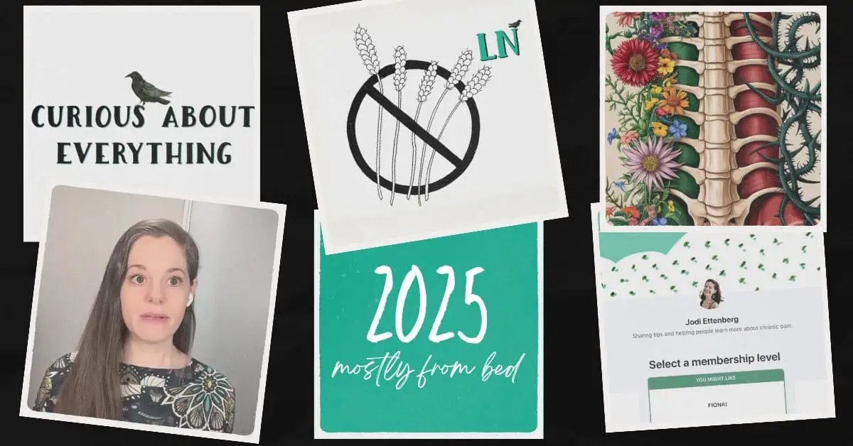 What I did in 2025, mostly from bed